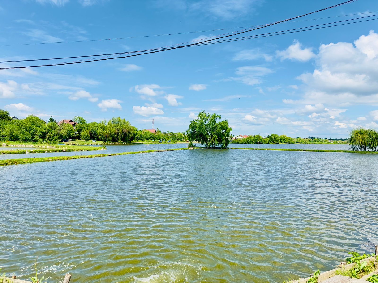 Bazinele de creștere de la Lacul Periș